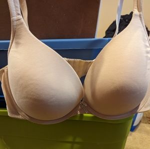 Cacique 42 dd